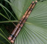 玉屏箫笛正品初级入门学生初学一节紫竹演奏笛子乐器专业竹笛包邮