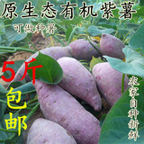 山东沂蒙有机原生态新鲜紫薯农家自种紫地瓜紫番薯可做种属满包邮