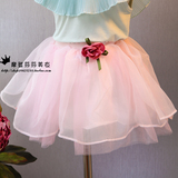 韩国T&Z品牌夏装新款半身蓬蓬裙 超短裙 细腻纱 儿童半腰裙