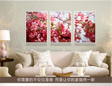客厅装饰画欧式花卉组合三联苹果花美式中式油画沙发背景餐厅挂画
