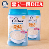 现货● 美国Gerber嘉宝一段益生菌DHA大米米粉 227g 4个月+