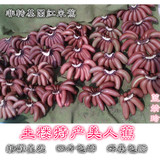 福建土楼特产红米蕉banana非进口台湾美人蕉新鲜水果香蕉4斤包邮