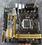 Asus/华硕 H81M-C ，H81，SATA3，USB3.0 .PCI，B85 台式机主板