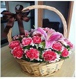 上海全国鲜花速递小手提蓝物生日母亲节日教师妈妈红粉康乃馨百合