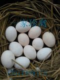 贵妃鸡种蛋  孵化用蛋 土鸡种蛋 观赏鸡种蛋受精蛋   活动价3块