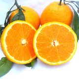 蒲江橙子橙脐橙甜橙桔子新鲜清青见5斤包邮比丑橘子水果丑八怪甜