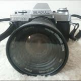 古董相机 国货精品 海鸥DF300 家庭摆设 电影道具 照相机收藏