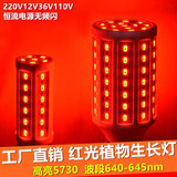 超亮红光LED玉米灯泡植物生长灯12V24V36V48V60V110V220V工厂直销