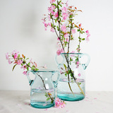 美式餐桌花瓶摆件双耳创意气泡透明玻璃花瓶水培花器包邮
