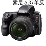 二手单反相机 索尼A37单反 18-55mm镜头 单电相机 微单旋转屏高清