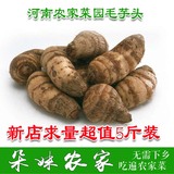 新鲜小毛芋头 香芋头农家自种特产蔬菜毛芋头农货产品5斤装包邮