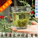 日照绿茶 2015年新茶秋茶自产自销 巨峰镇薄家口茶叶有机山茶