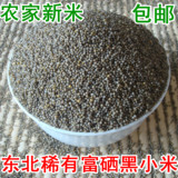 黑小米东北特产农家富硒黑色养胃小米杂粮月子米有机小黑米500g