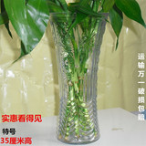 包邮/玻璃花瓶富贵竹花瓶特大号35cm落地客厅简约摆件水培插花器