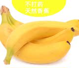 香蕉新鲜水果海南高州特产有机食品有机农家直供4斤包邮Banana