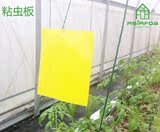 【亚夫布】粘捕式灭蝇灯 专用粘虫板 环保诱虫粘板 黄色粘虫板