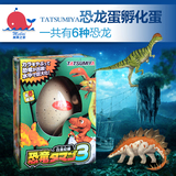 日本进口玩具水中孵化恐龙蛋.霸王龙.鸡蛋水孵蛋恐龙模型动物模型