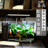 Haqos喜高 子弹头创意迷你桌面小鱼缸办公家用造景生态玻璃水族箱
