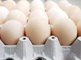 土鸡蛋农家散养20枚新鲜包邮 草鸡蛋笨鸡蛋正宗土特产月子蛋