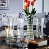 包邮 客厅水晶玻璃透明花瓶 时尚简约现代插花富贵竹水培花瓶六角