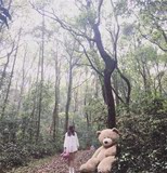 美国大熊毛绒玩具泰迪熊巨型娃娃情人节生日礼物2米1.8布娃娃公仔