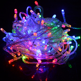 9种颜色的LED灯条220V 10m圣诞婚礼节防水装饰100个LED灯串节日灯