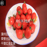 鲜骑士 龙海圣女果4斤装包邮绿色新鲜蔬菜孕妇农家漳州水果小番茄