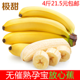 香蕉banana广西玉林青香蕉新鲜水果芭蕉有机无公害农家直供4斤