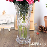 欧式大号加厚创意透明水培玻璃花瓶 插花富贵竹玫瑰百合花器包邮