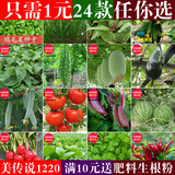 夏季蔬菜瓜果种子阳台芽苗菜圣女果小番茄菜种子黄瓜四季易种套餐