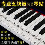 通用88键专业透明钢琴键贴纸61电子琴键盘手卷钢琴键贴五线谱简谱
