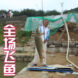 黑坑鱼竿日本进口碳素川崎撼塘超硬19调3.6米罗非竿台钓鱼竿特价