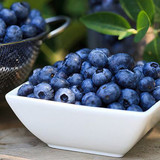 智利进口特级蓝莓鲜果 新鲜水果含花青素 4盒装全国顺丰包邮