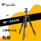 伟峰三脚架WF-3642B铝合金三脚架 数码相机 单反相机脚架 便携式