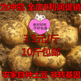 山西农家自种有机土豆非转基因大土豆新鲜土豆蔬菜马铃薯10斤包邮