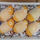 海南三亚特产新鲜大金煌芒果水果5斤促销，全国大部顺丰空运 包邮