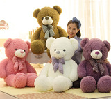 16新品上线泰迪熊玩具公仔批发毛绒蓝贝贝抱抱熊 熊熊PP棉精品