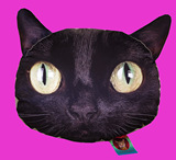 MISSRED设计师品牌 Cat  猫头抱枕 孟买黑猫靠垫 喵星人 包邮