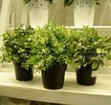 IKEA宜家代购 菲卡 人造盆栽植物,仿真塑料 草,客厅装饰绿植 室内