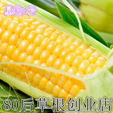 垦粘1号种子 甜糯玉米种子 甜加糯 蔬菜种子家庭盆栽 易种 100g