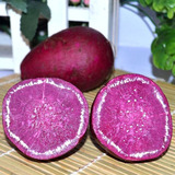 四川新鲜迷你小紫薯地瓜小番薯p越南紫薯种子农家紫心红薯5斤包邮