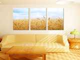 秋季水稻客厅装饰画沙发后墙壁画企业办公室挂画现代装饰山水画
