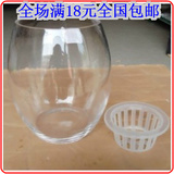 水培花瓶玻璃透明免邮创意水培玻璃花盆，简约美观富贵竹批发圆形