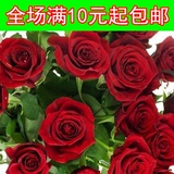 春播种子花卉盆栽春季 四季播鲜花种子 阳台红玫瑰种子100%真货