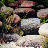 高清水族箱单面背景珊瑚画 立体感岩石 鱼缸装饰造景贴纸高50cm