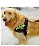 狗链子 大型犬工作犬用荧光服胸套+牵引链双层帆布胸背带酷帅拉风