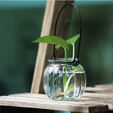 绿萝水培花瓶 南瓜玻璃花瓶 小吊瓶插花透明玻璃花瓶 配送铁环