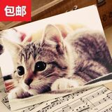 猫の恋 cat 喵星人/萌宠动物/宠物小猫咪明信片 可爱萌猫咪 盒装