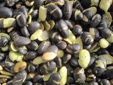 长白山农家自产黑豆 非转基因 黑豆 即食