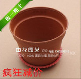 陶瓷紫砂花盆塑料/红色花盆15CM/不含盆托简约红陶红陶地面